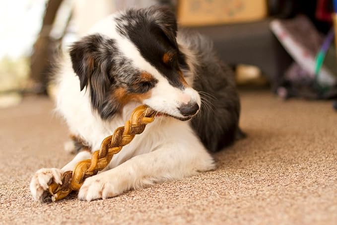Redbarn 12" Premium Braided Bully Sticks for Dogs - Natural Single Ingredient Braid Treats, Long-Lasting Chews Made from Slow Roasted Beef, Rawhide-Free and Low Odor – 2 Count