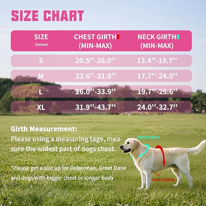 AUROTH Dog Harness and Leash Set, Soft Padded Service Dog Vest with 5.25FT Dog Leash, No Choke, Easy On Pet Vest, Adjustable Reflective No Pull Dog Harness Small Sized Dog, Easy Walking and Training