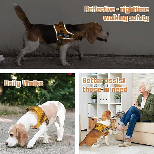 AUROTH Dog Harness No Pull Soft Padded Service Dog Vest, No Choke, Easy On Pet Vest with Handle, Adjustable Reflective Dog Harness for Small, Medium and Large Dogs, Easy Walking and Training