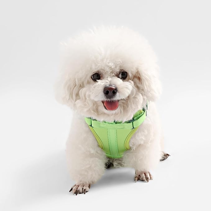 HNS1001B Arlo Small Adjustable Soft Padded No Pull Pet Harness with 3 Buckles and 3 Leash Clips, Mojito