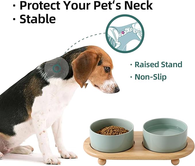 Havniva Ceramic Elevated Dog Bowls, Food and Water Bowls for Dogs, Puppy, Raised Dog Dish, Pet Feeder(6inch, 2 x Light Green + Stand)