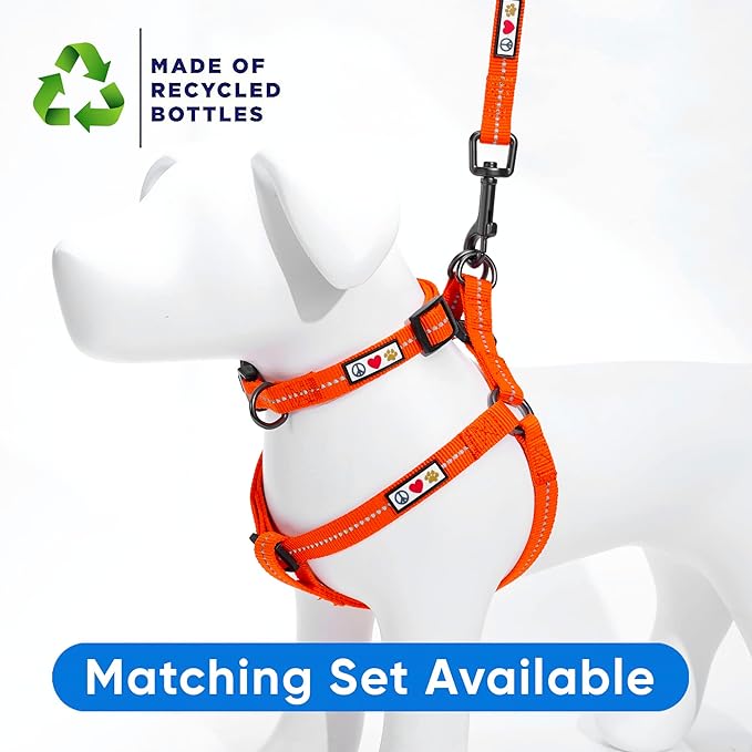 Pawtitas Recycled Dog Collar with Reflective Stitched Puppy Collar Made from Plastic Bottles Collected from Oceans Small Orange Habanero