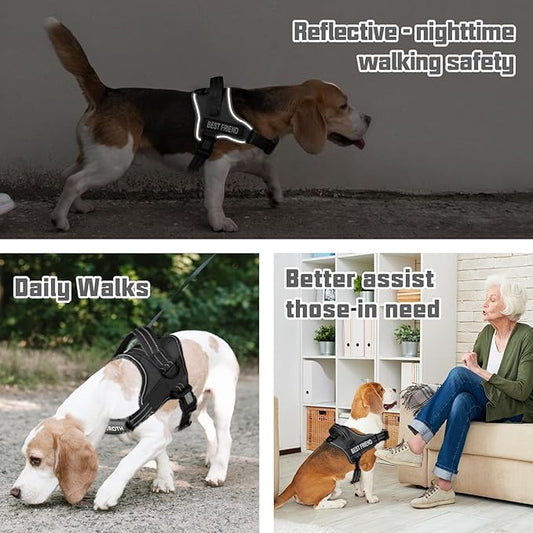 AUROTH Dog Harness and Leash Set, Soft Padded Service Dog Vest with 5.25FT Dog Leash, No Choke, Easy On Pet Vest, Adjustable Reflective No Pull Dog Harness for Large Dogs, Easy Walking and Training