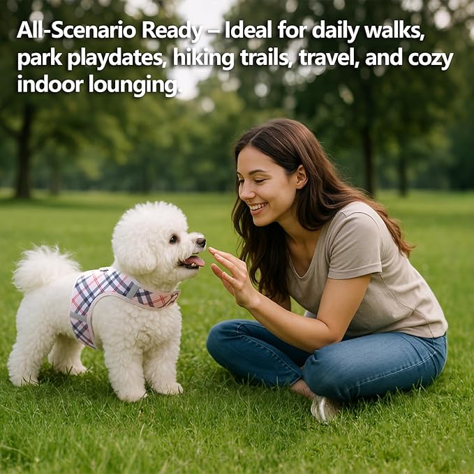 Dog Harness for Small Sized Dog,Hook-and-Loop Easy On/Off, Reflective Adjustable Soft Mesh Vest for Puppy (Checkered Beige,XXXS)