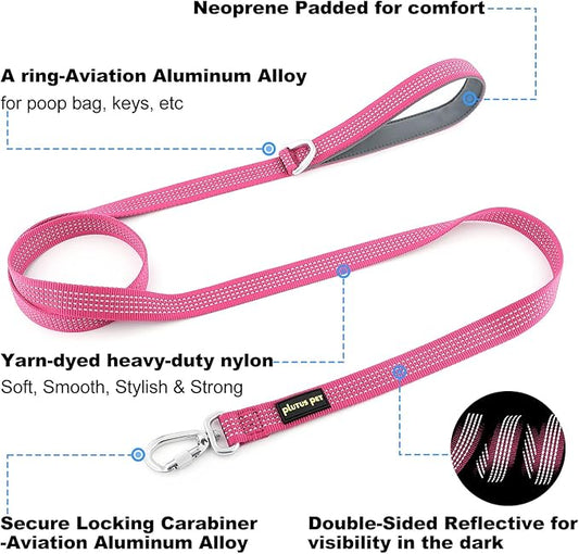 Plutus Pet Heavy Duty Dog Leash with Lockable Aluminum Carabiner, 4/6 Feet Long, Double-Sided Reflective Nylon, Padded Handle, for Puppy, Small, Medium and Large Dogs (Pink, 1" x 4')