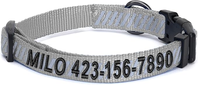 Pawtitas Reflective Dog Collar - Personalized Name & Phone Number, Adjustable for Extra Small Dogs & Puppies - Grey