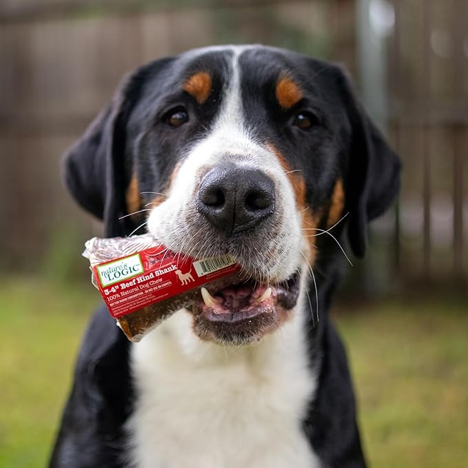 Nature's Logic Beef Hind Shank Bone - 3-4" Long Chew - Collagen & Protein Source for Dog Dental Health & Occupation - Carnivore Appropriate Recreational Dental Care - Small Beef Hind Shank