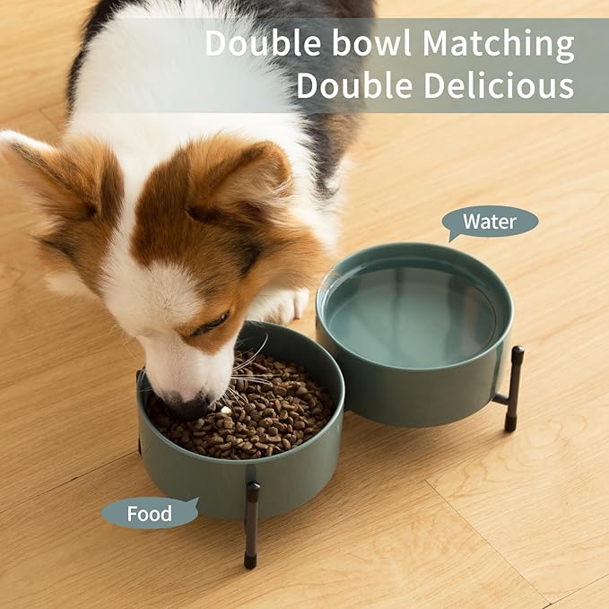 AOMRYOM 32 OZ Dog Bowls with Elevated Metal Stand, 6 Inch Ceramic Cat Bowl Dish for Food and Water, Pet Feeder Bowls for Cats & Dogs - Set of 2, Blue-Grey