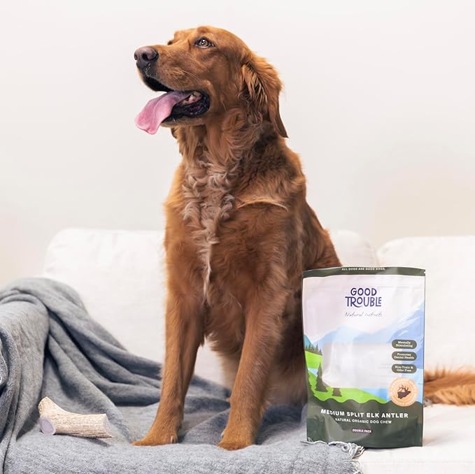 Good Trouble Premium Elk Antlers for Medium Dogs – 1 Pack Split - All-Natural, Shed Antler Chews for Dental Health & Calming - Durable Dog Bones - Cruelty-Free, North American Sourced