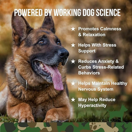 Operation Good Boy Calming Chews for Dogs, Stress Relief Chews with Chamomile & Tryptophan for Relaxation – 90 Soft Treats, Natural Ingredients, Veteran Owned - Beef Flavored