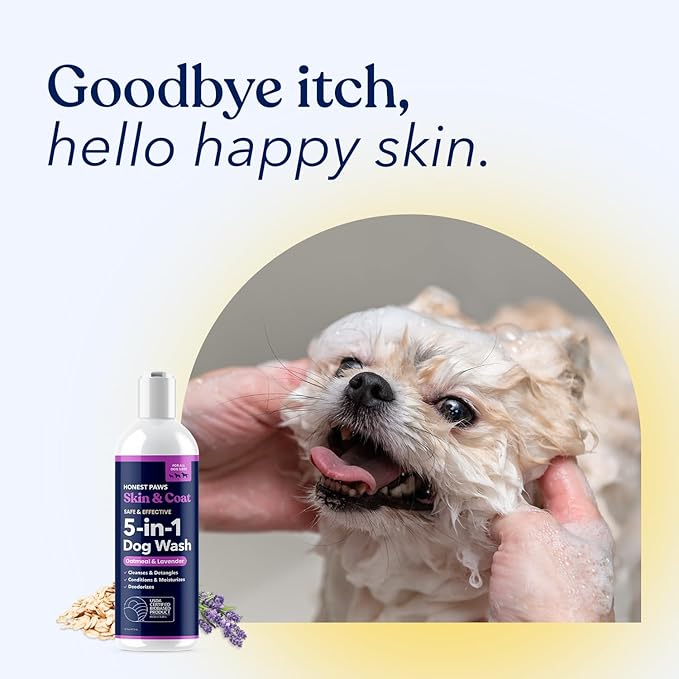 Honest Paws Dog Shampoo and Conditioner - Premium Dog Wash for Allergies and Dry, Itchy, Moisturizing for Sensitive Skin - Sulfate Free, Plant Based, All Natural - Oatmeal & Lavender - 16 Fl Oz