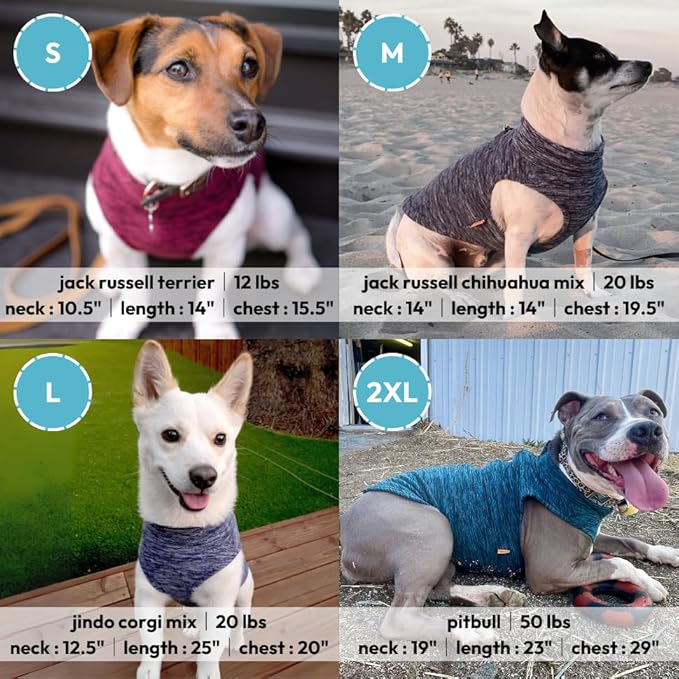 Gooby Zip Up Fleece Dog Sweater - Fuchsia Wash, Small - Warm Pullover Fleece Step-in Dog Jacket with Dual D Ring Leash for Small to Medium Dogs