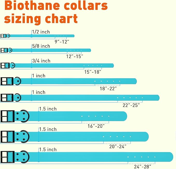 Dogline Biothane Coated Webbing Dog Collar with Black Metal Hardware: Durable Easy-Clean Everyday Collar for Dogs - Comfortable Adjustable Odor-Resistant Pet Collar, W3/4" x L15-18, Sky Blue