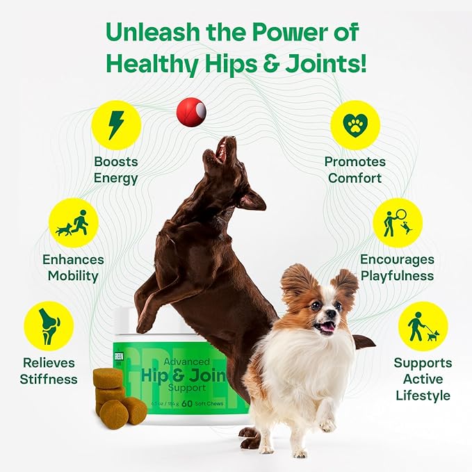 Hip & Joint Supplement for Dogs - Bacon Flavor Soft Chews - Mobility & Flexibility Support - MSM, Chondroitin, Glucosamine for Dogs - 60 Count, Dog Glucosamine for Small & Medium Breeds