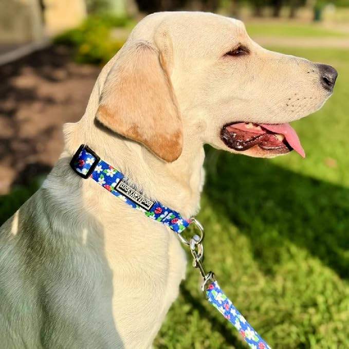 Lucky Love Dog - Easy Click Buckle Dog Collar with Leash Set Combo, Durable & Comfortable for Male & Female Dogs, Pet Collar for Small to Large Dogs, Secure Fit - Lilian Combo, Medium