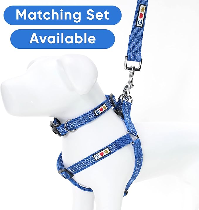 Pawtitas Reflective Dog Collar Adjustable Dog Collars for Small Dogs Puppy Collar Small Dog Collar Blue Collar