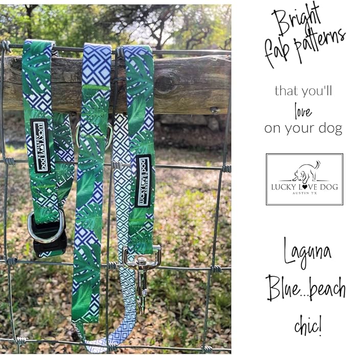 Lucky Love Dog Collar, Beautiful & Vivid Pattern Small Boy Dog Collars, Easy On & Off Clasp Accessory (Blue Laguna, S)