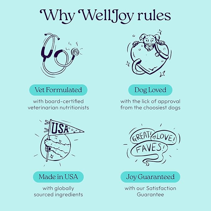 WellJoy Dog Supplement Joint+ GutBoost | Dog Health Supplement | Supports Healthy Flexible Joints | Dual-Benefit GutBoost Formulation | Vet Formulated | USA Made | Chicken Flavor | 90 Soft Chews