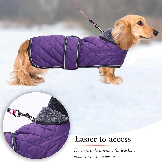 Warm Thermal Quilted Dachshund Coat,Dog Winter Coat with Warm Fleece Lining,Outdoor Dog Apparel with Adjustable Bands for Medium,Large Dog-Purple-S