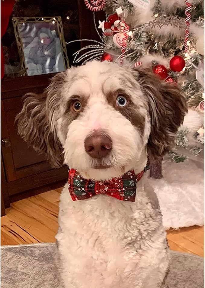 Lionheart glory Christmas Plaid Dog Collar Adjustable Soft Dog Collar with Bowtie, Pet Gift Dog Collars Bow for Small Medium Large Dogs
