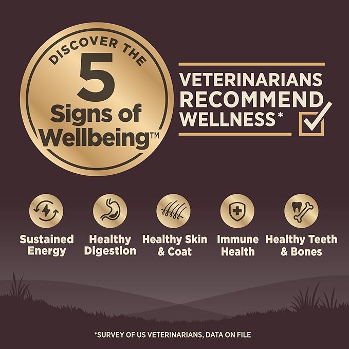 Wellness CORE Senior Dry Dog Food, Grain-Free, High Protein, Natural, Age Advantage Turkey & Chicken Recipe, (4-Pound Bag)