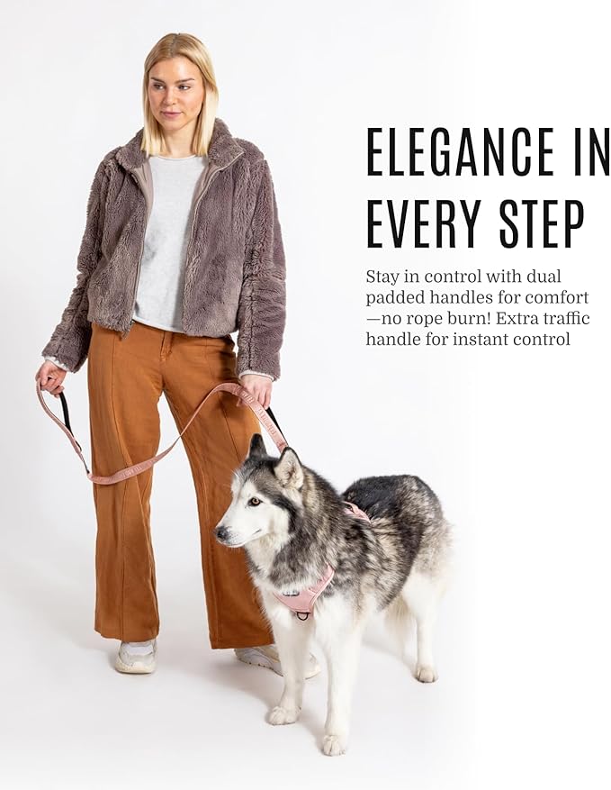 2025 New Edition, Fei & Eve Classic Dog Leash - 4FT, Dual Padded Handles, 360° Swivel Hook, Heavy Duty 210D Nylon - No-Pull Design with Traffic Control Handle - for Small/Medium/Large Dogs, Blush