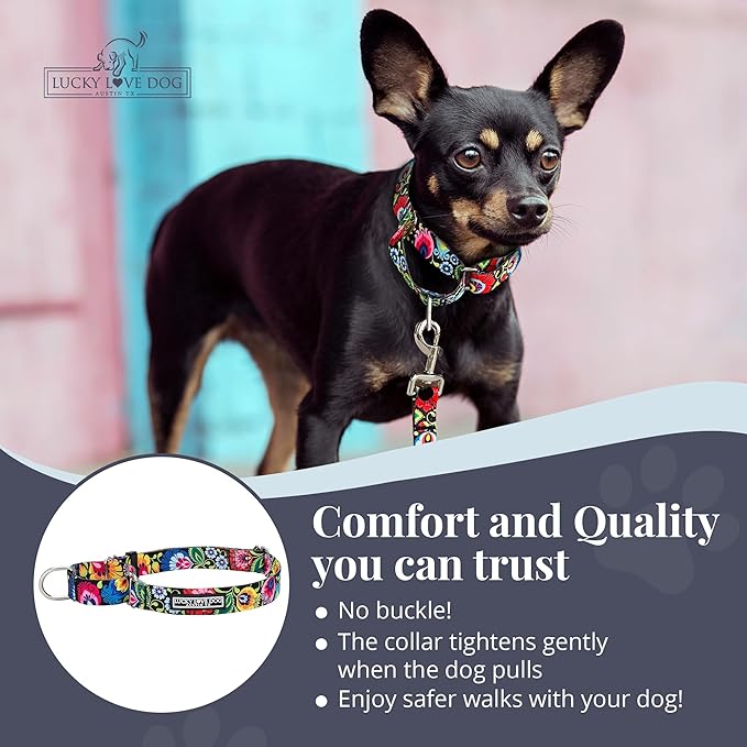 Lucky Love Dog Martingale Dog Collar - Adjustable, No-Slip, Durable, & Soft Webbing Collar for Male and Female Dogs Ideal for Training & Walking - Blackbird, Small