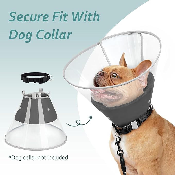 Dog Cone Collar with Snap-on Detachable Soft Liner, Lightweight Transparent Elizabethan Alternative to Stop Licking, for Spay Neuter Surgery Recovery, for Medium Large Small Dogs (Light Black,L)