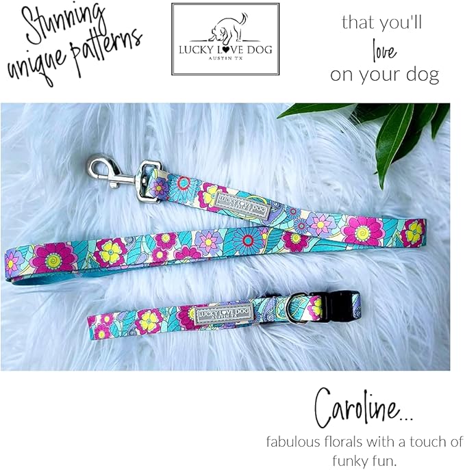 Lucky Love Dog Collar and Leash Combo, Cute Collar and Leash Set for Small Female Dogs, Part of Purchase Donated to Rescue (Small, Caroline, Combo)