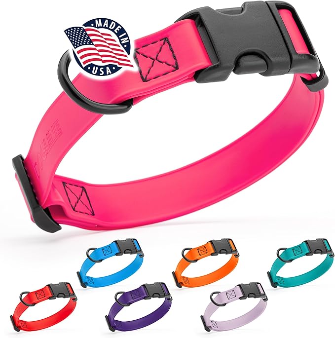 Dogline Durable Biothane Waterproof Collar for Dogs - Odor-Resistant Coated Webbing, Quick-Release Design, Comfortable Adjustable Fit, 3/4" W by 12-19" L, Passionfruit Pink