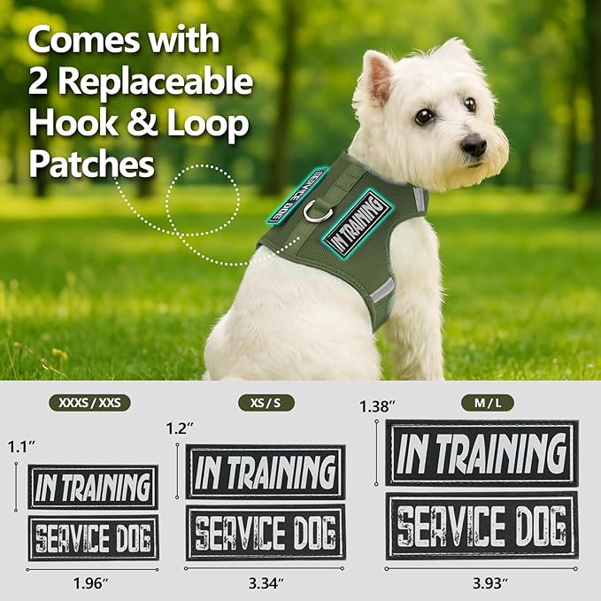 Dog Harness for Puppy – Adjustable Reflective Easy Put On Soft Mesh Vest for Small Dogs with 2 Patches (Misty Green,L)
