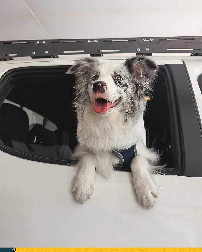Medium Back Seat Extender for Dogs, Hard Bottom Platform for Cars, SUVs & Mid-Size Trucks, Waterproof – Rigid Back Seat Cover for Dogs