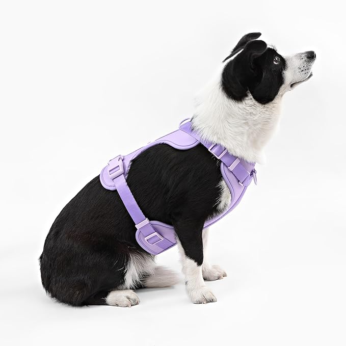 HNS1003H Arlo Large Adjustable Soft Padded No Pull Pet Harness with 3 Buckles and 3 Leash Clips, Bramble