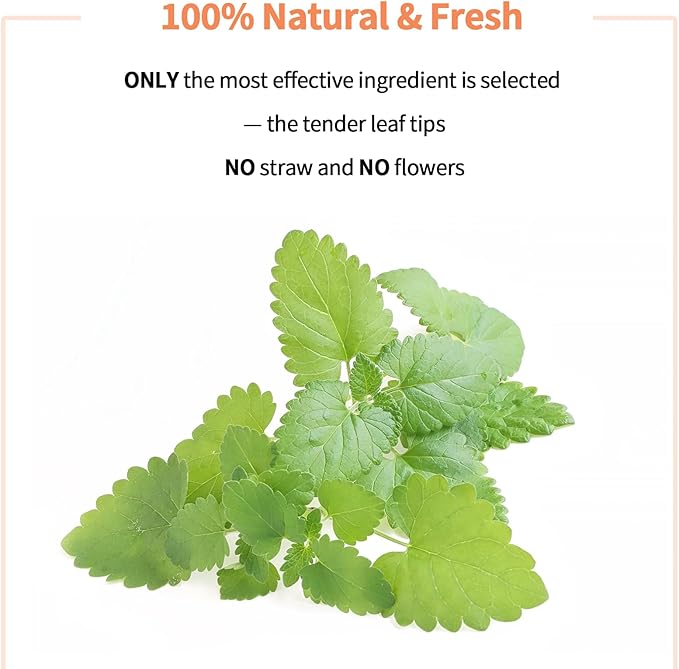 YWAOOH Premium Catnip for Cats & Kittens – Cold-Processed, High Potency Nepetalactone, 100% Pure Organic Leaf-Only Catnip for Toys, Scratchers, Refills, Stimulates Play & Protects Furniture - 15g