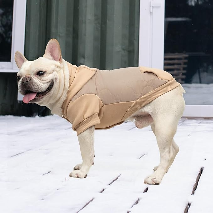 KOOLTAIL Warm Dog Winter Coat for Small Dogs, Waterproof Puppy Jacket with Leash Hole, Cold Weather Pet Vest for Winter, Soft Pet Hoodie Sweater Sweatshirt Clothes for Puppy Cats Girls Boys Beige M