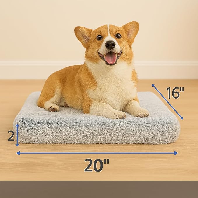 Dog Bed with Removable Cover, Orthopedic Dog Bed (Medium) - Premium Quality, Washable & Portable,Multiple Sizes, Stylish Design, Removable Cover, Size(19.68 x 15.74 X 2) inch