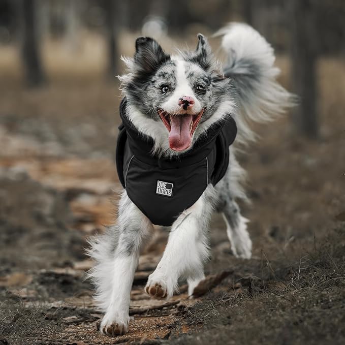 OneTigris Dog Coat Waterproof Dog Jacket with Adjustable Buckle Hook & Loop Windproof Cold Weather Coats for Small Medium Large Dogs (Black, Medium)