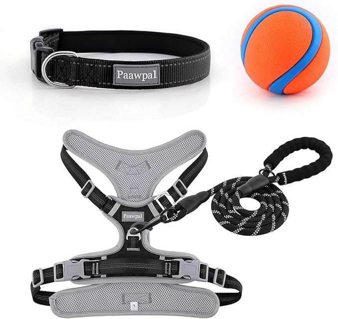 Adjustable Dog Harness - No Pull, Reflective, Soft Padded for Small, Medium, Large Dogs - Includes Leash and Collar Black XL