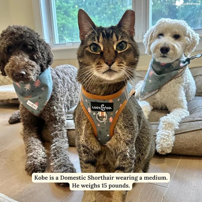 Lucy & Co. Take a Hike Step-in Cat Harness & Leash Bundle – Reflective, Breathable & Adjustable Harness for Cats, Kittens & Small Dogs, Lightweight & Secure and Dual Leash Clips – X-Small
