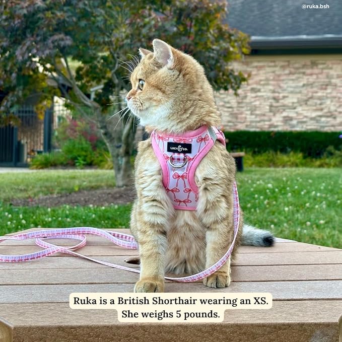 Lucy & Co. Take a Bow Step-in Cat Harness & Leash Bundle – Reflective, Breathable & Adjustable Harness for Cats, Kittens & Small Dogs, Lightweight & Secure and Dual Leash Clips – Large