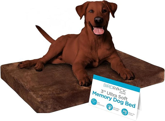 BIRDROCK HOME Memory 3" Memory Dog Bed | Ultra Soft Plush Pet Bed | Pet Mat (34 x 22, Brown)
