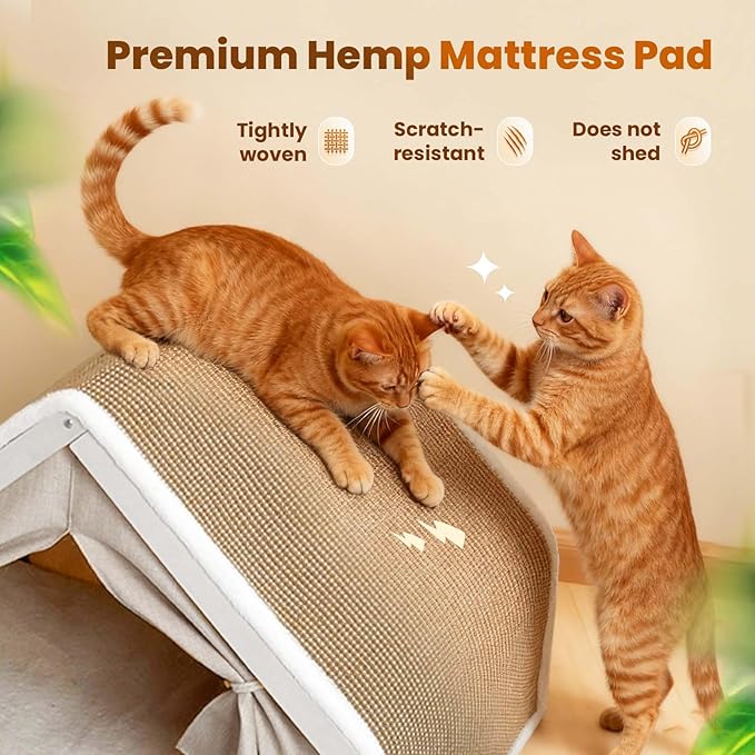 Cat Houses for Indoor Cats - Large Cat Bed Cave with Natural Sisal Cat Scratcher Mat, Solid Wood Frame Cat House with Curtains and Cat Floor Scratching Pad Rug, Protect Couch and Carpets (Nature, M)