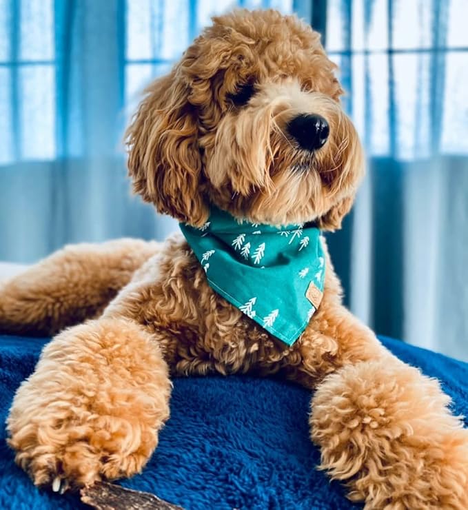 rocket & rex Extra Large Waterproof Dog Blanket, Blue, Washable Waterproof Pet Blanket Protects Beds, Couches & Other Furniture, Premium Fleece Fabric with Reversible Faux Suede, 56" x 73" (Pack of 1)