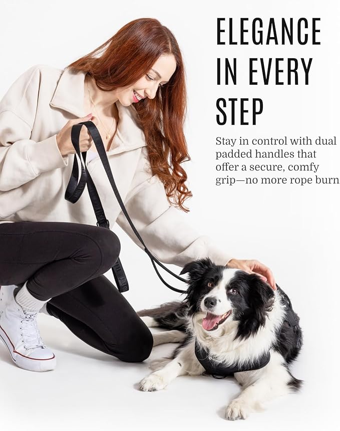 2025 New Edition, Fei & Eve Classic Dog Leash - 6FT, Dual Padded Handles, 360° Swivel Hook, Heavy Duty 210D Nylon - No-Pull Design with Traffic Control Handle - for Small/Medium/Large Dogs, Black