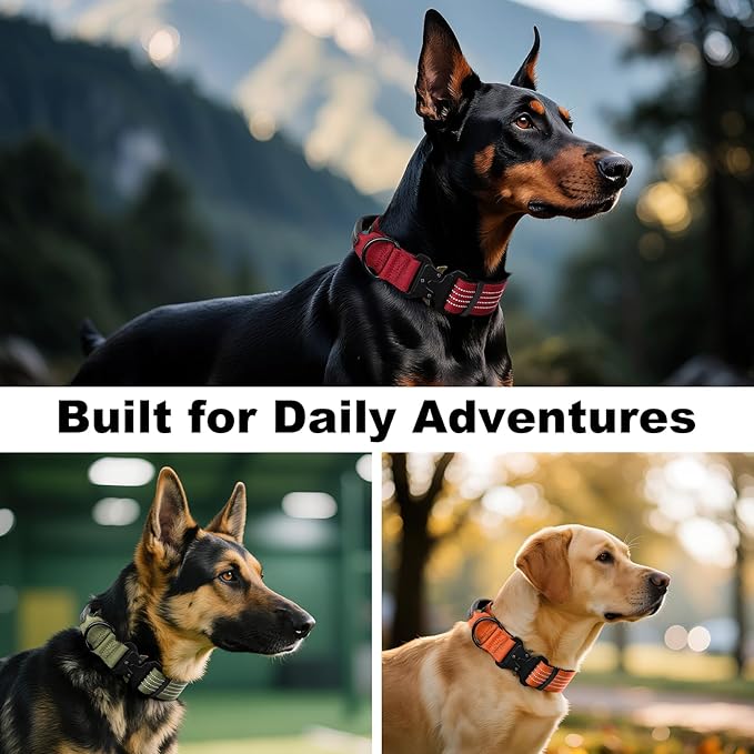 Plutus Pet Tactical Dog Collar with Tracker Pocket for AirTag, Adjustable Reflective Nylon Collar, Metal Buckle, Leather-Wrapped Handle, Soft Padded for Medium Large Dogs (Ranger Green, M)