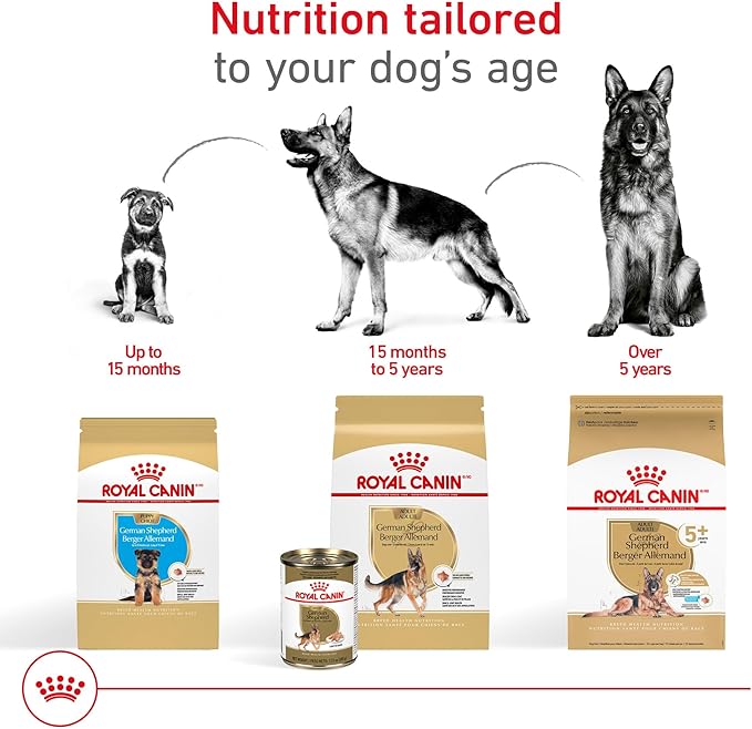 Royal Canin Breed Health Nutrition German Shepherd 5+ Mature Dry Dog Food, 28 lb Bag