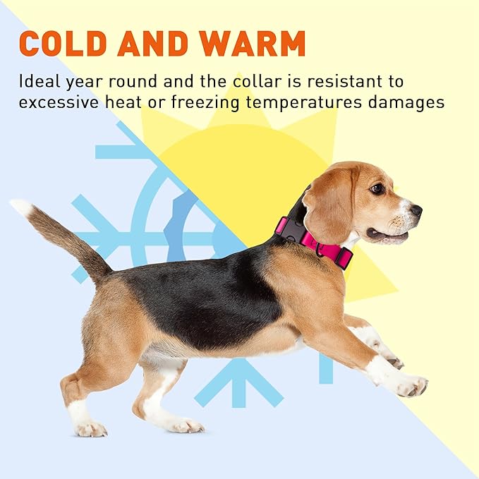 Dogline Durable Biothane Waterproof Collar for Dogs - Odor-Resistant Coated Webbing, Quick-Release Design, Comfortable Adjustable Fit, 3/4" W by 12-19" L, Passionfruit Pink