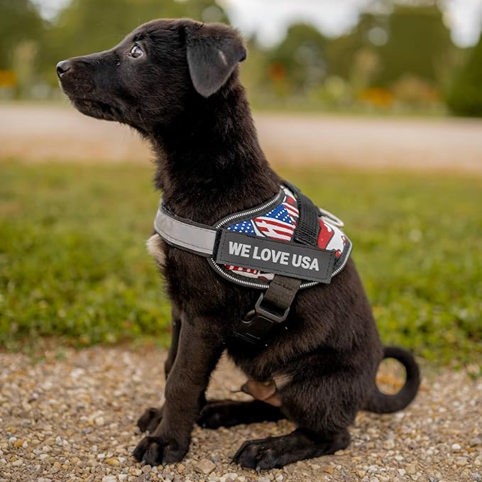 Personalized No-Pull Dog Harness with Name Patch, Adjustable, Reflective, Padded, Heavy Duty Pet Vest to Prevent Tugging, Pulling, or Choking, Training and Walking, US Flag, 2XL