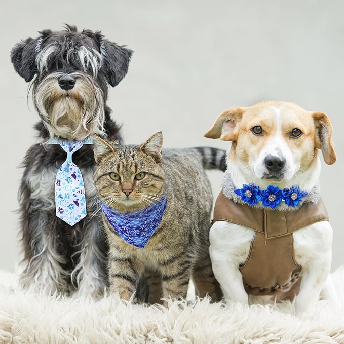 Reginary 40 Pcs Winter Dog Bandanas Bulk Blue Snowflake Cat Bow Ties Collars Adjustable Winter Wonderland Dog Collar with Bow Kerchief Bibs Set for Small Medium Pet Costume Grooming Accessories