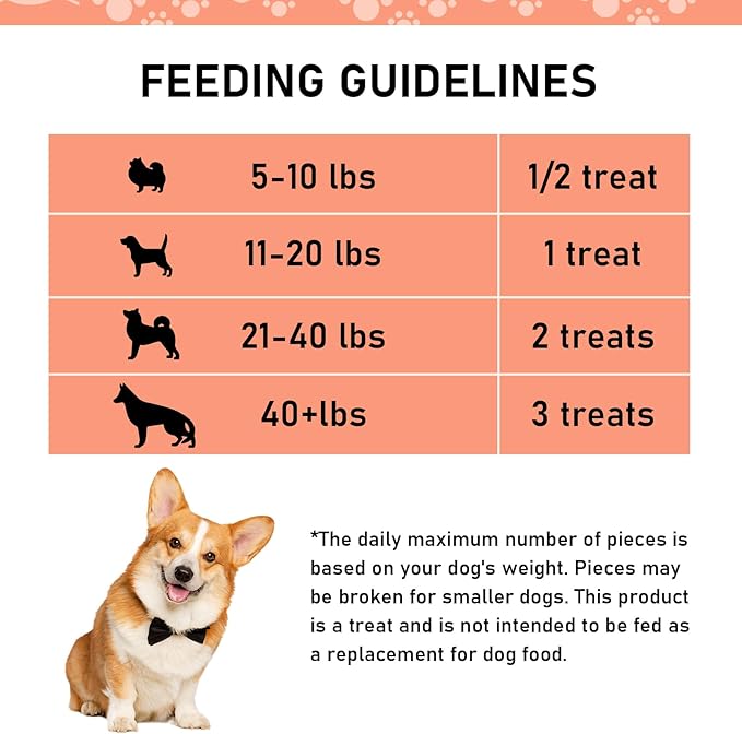 Chicken Breast Jerky Dog Treats - 1.5 LB Value Pack, Human Grade, Easily Digestible, High Protein, Rawhide Free, Long Lasting Dog Chews, Training Reward - Made for USA